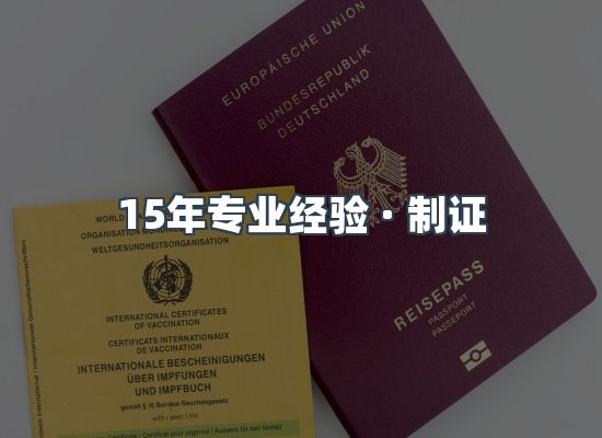 证件页面制证展示